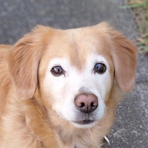Bella